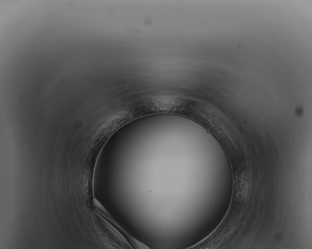 X0000097990505200804011812