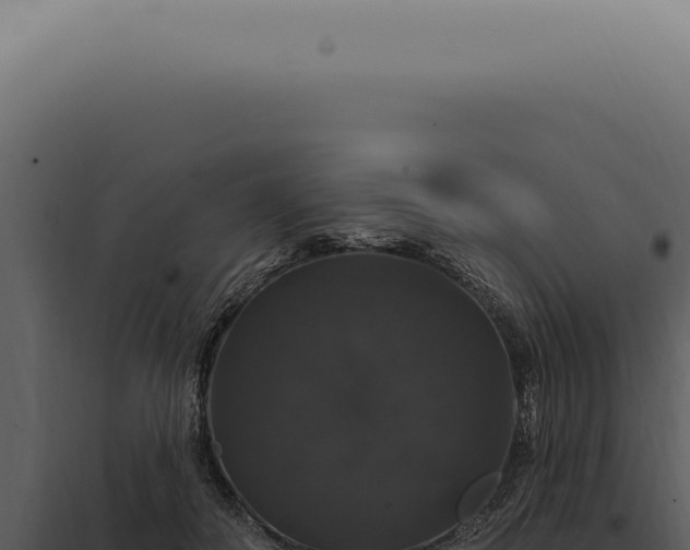 X0000097990506200804011812