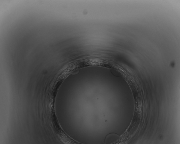 X0000097990507200804011812