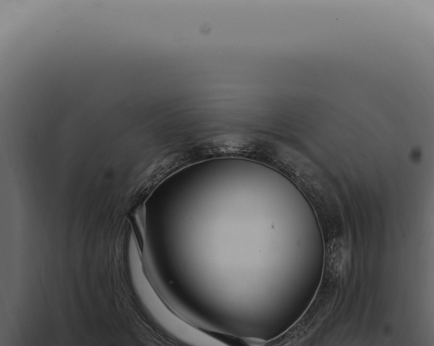 X0000097990509200804011812