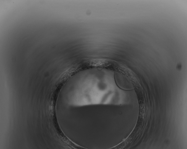 X0000097990510200804011811