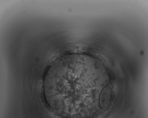 X0000097990511200804011811