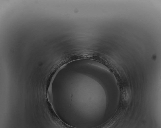 X0000097990512200804011811