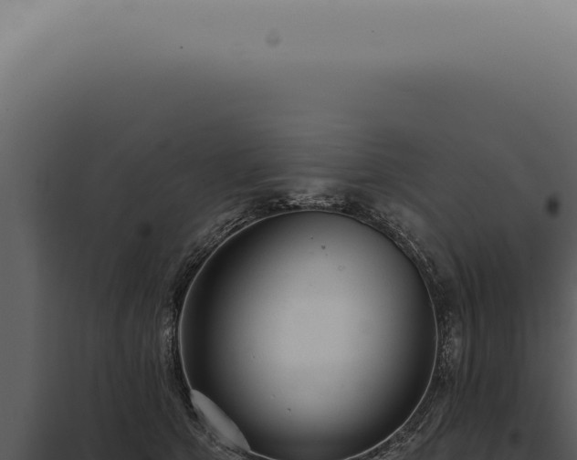X0000097990513200804011811