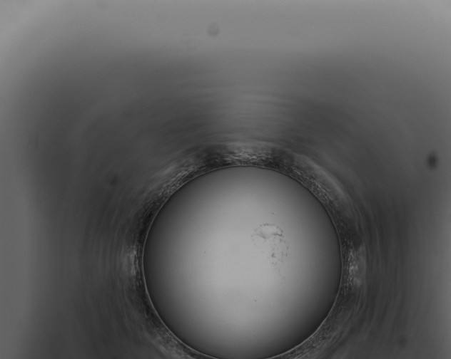 X0000097990514200804011811