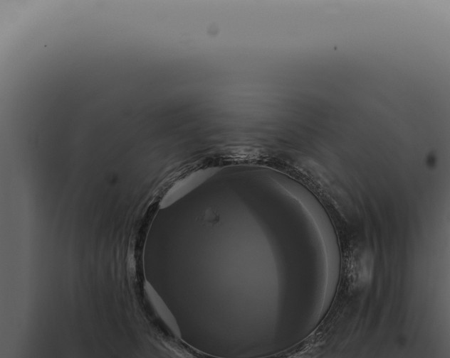 X0000097990516200804011811