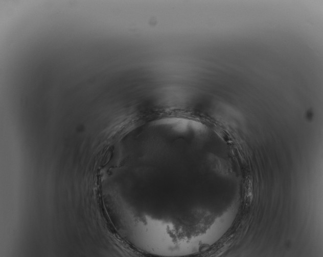 X0000097990519200804011811