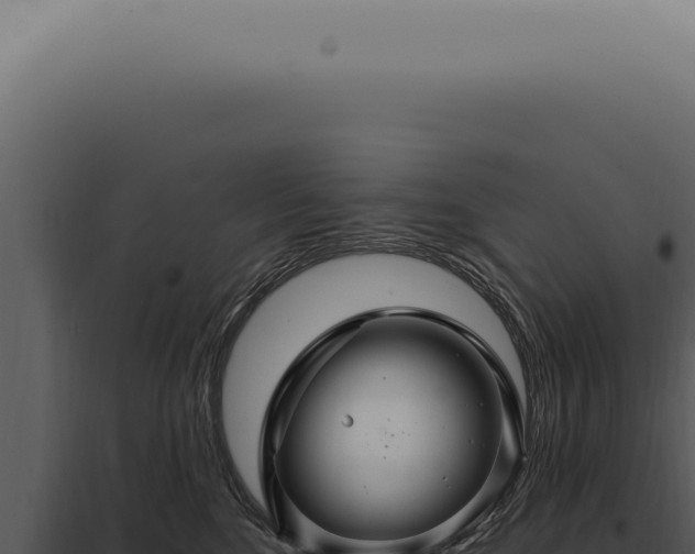 X0000097990520200804011811