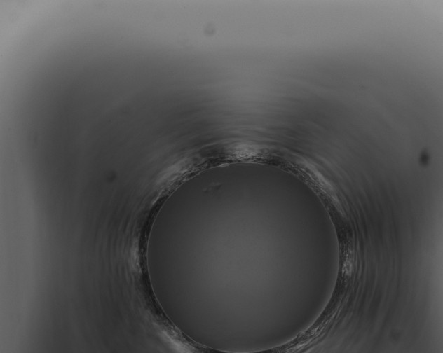 X0000097990524200804011811