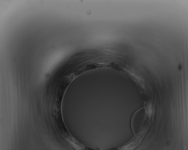 X0000097990526200804011811
