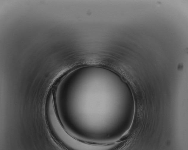 X0000097990530200804011811