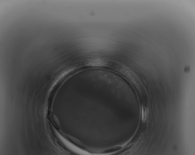 X0000097990531200804011811