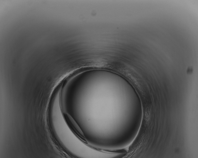 X0000097990532200804011811