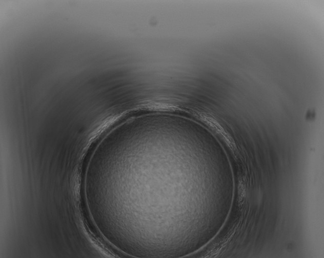 X0000097990533200804011811