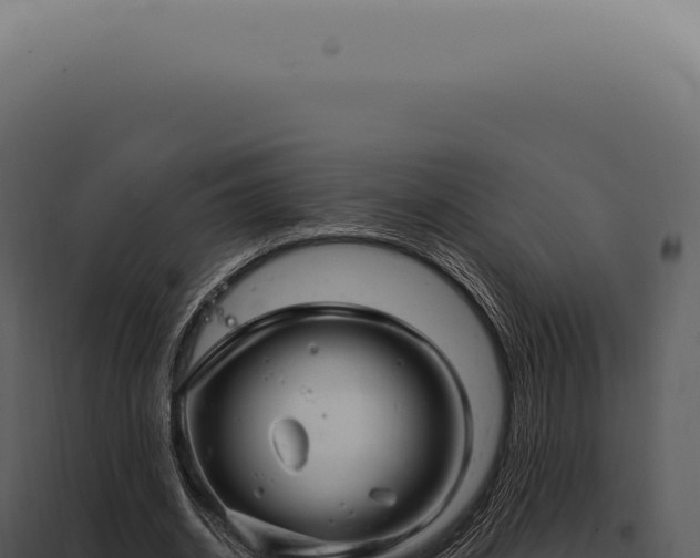X0000097990534200804011811
