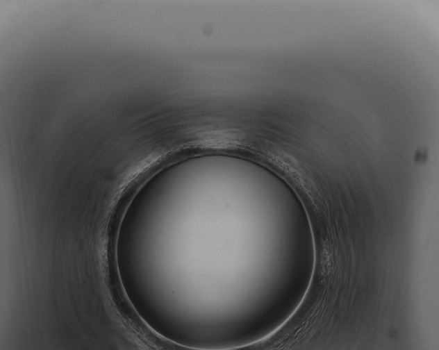 X0000097990535200804011811