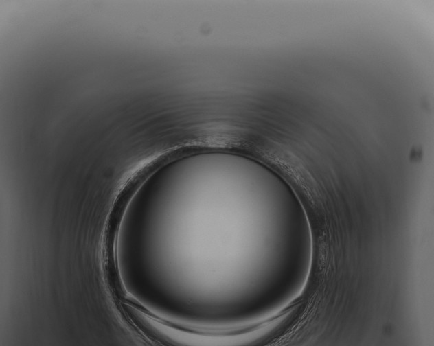 X0000097990536200804011811
