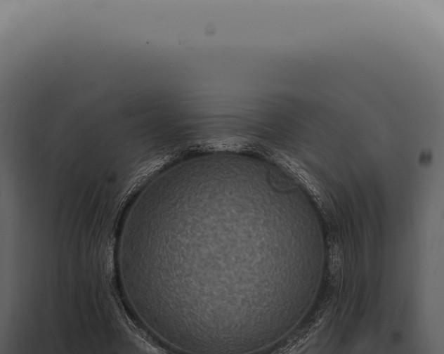 X0000097990537200804011811