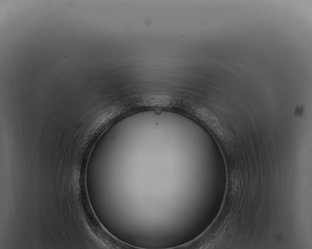 X0000097990538200804011811