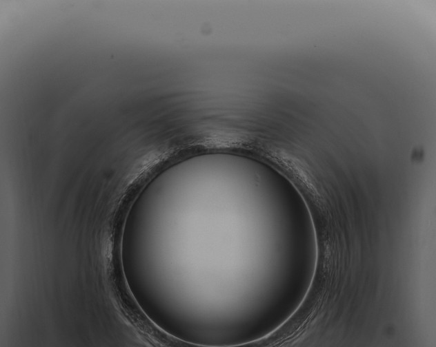 X0000097990539200804011811