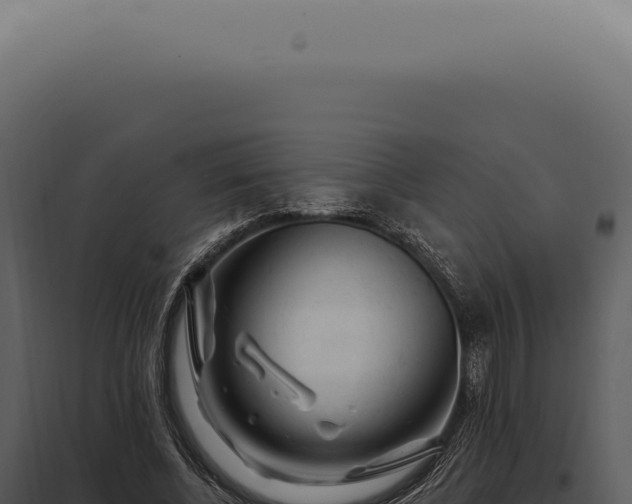 X0000097990540200804011811