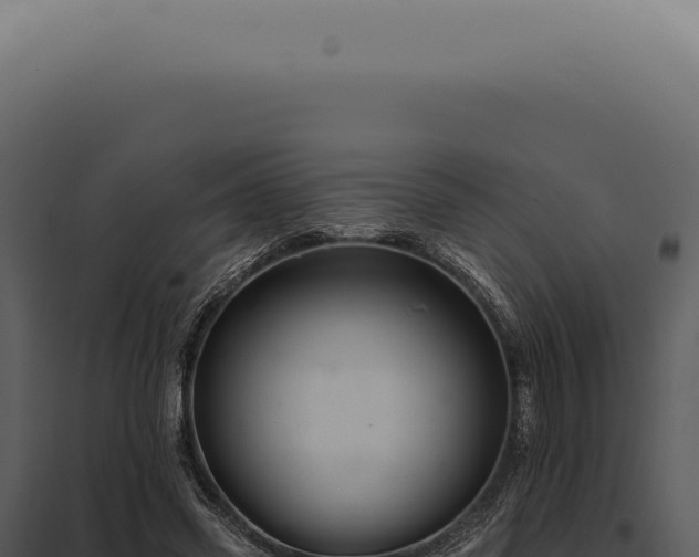 X0000097990541200804011811