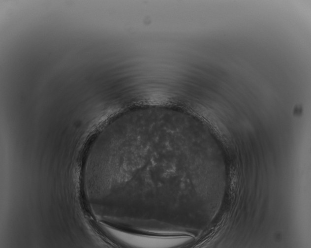 X0000097990542200804011811