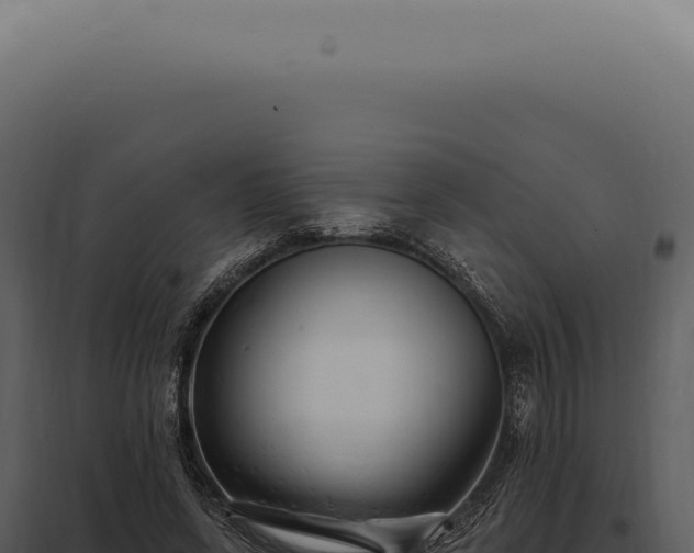 X0000097990543200804011811