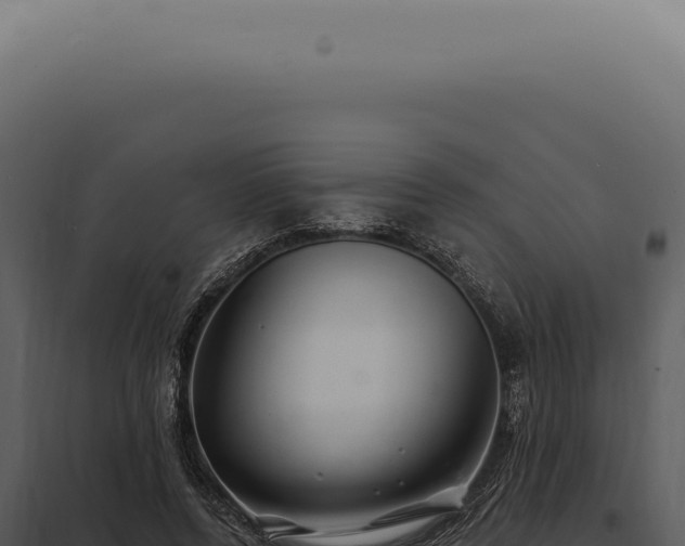 X0000097990544200804011811