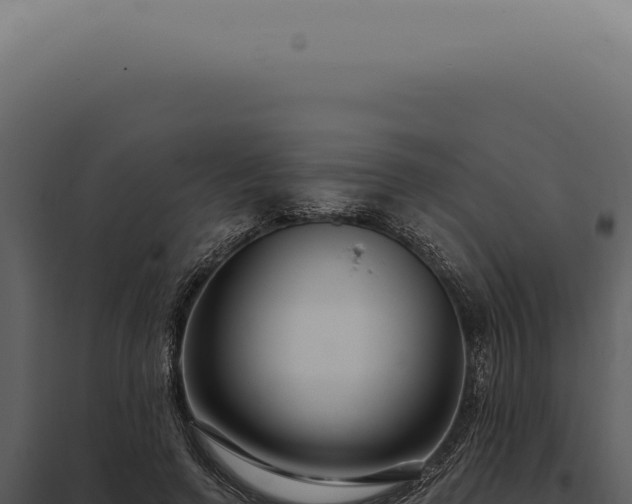 X0000097990546200804011811