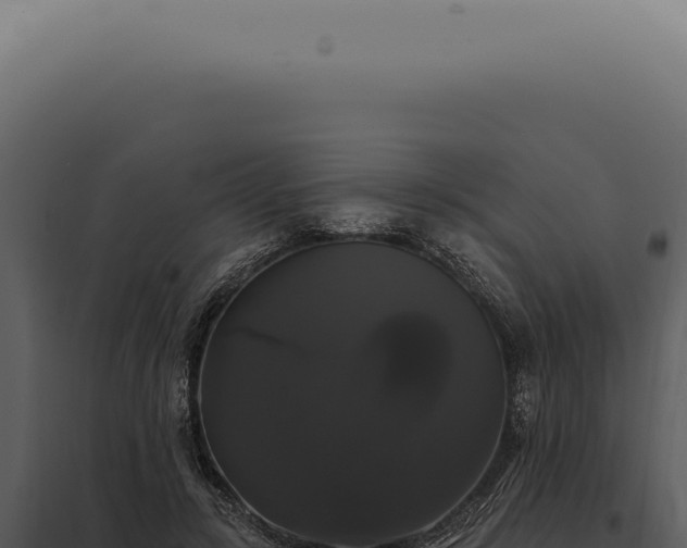 X0000097990547200804011811