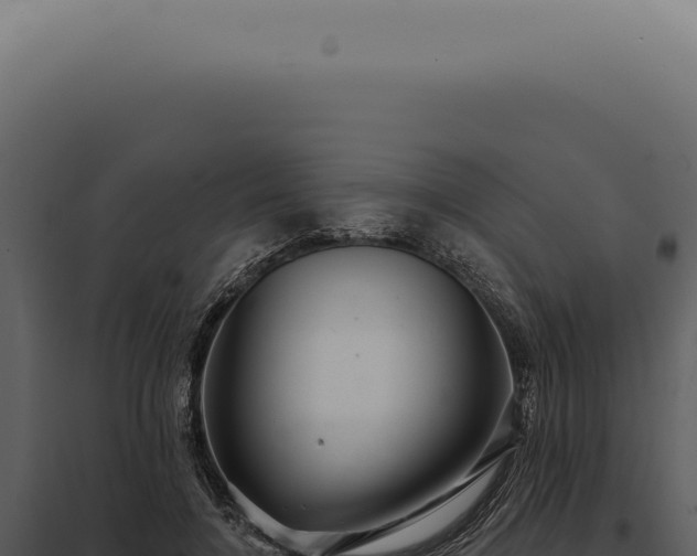 X0000097990548200804011811