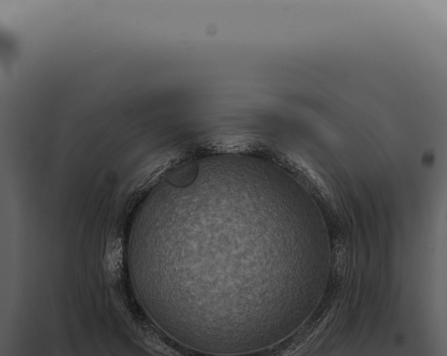 X0000097990549200804011811