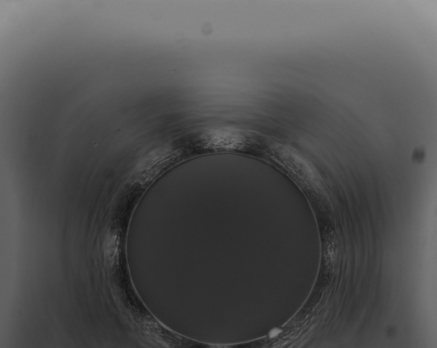 X0000097990551200804011811