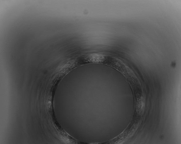 X0000097990553200804011811