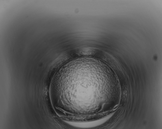X0000097990555200804011811