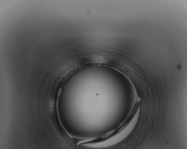 X0000097990556200804011811