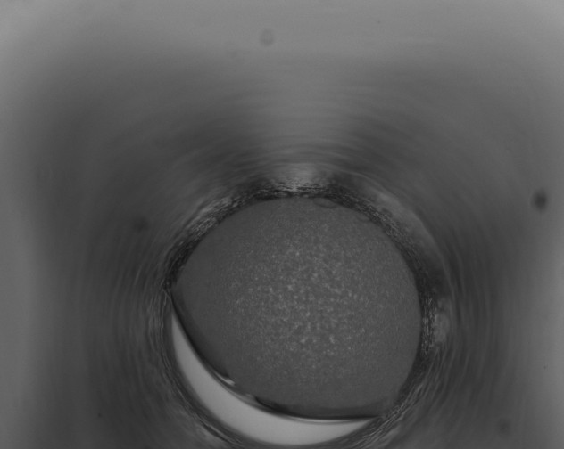 X0000097990558200804011811