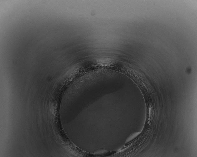 X0000097990559200804011811