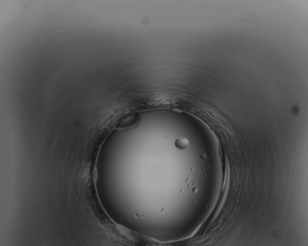 X0000097990560200804011811