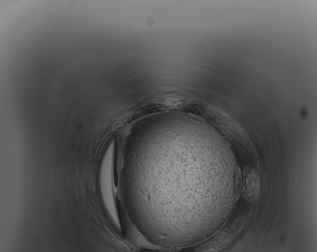 X0000097990562200804011811