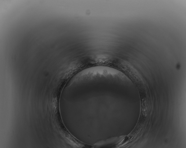 X0000097990563200804011811
