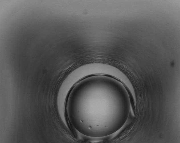 X0000097990566200804011811