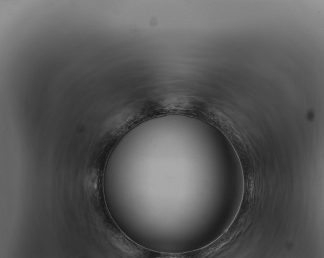 X0000097990567200804011811