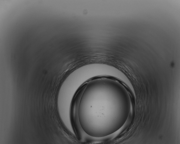 X0000097990568200804011811
