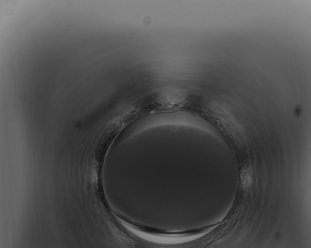 X0000097990570200804011811