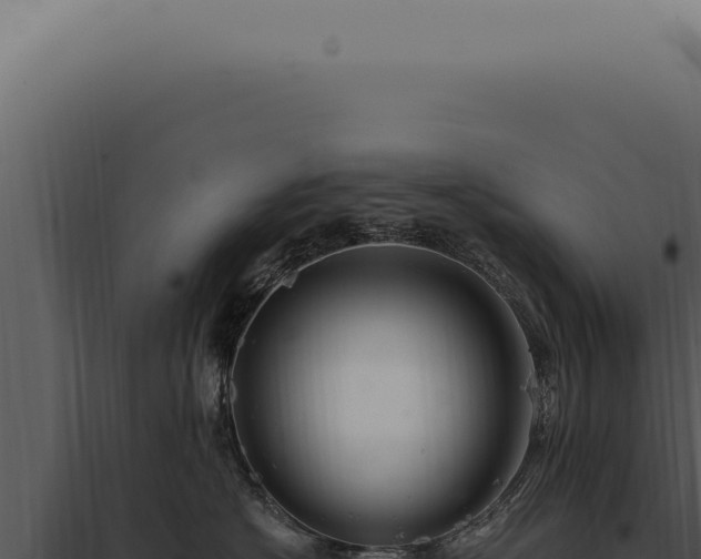 X0000097990574200804011811