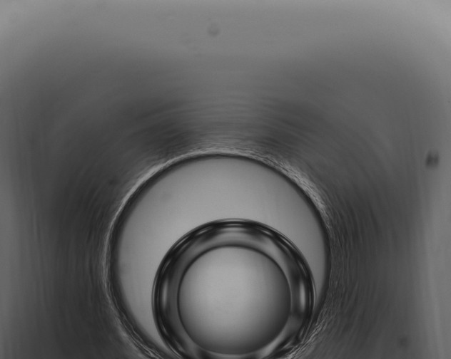 X0000097990580200804011811
