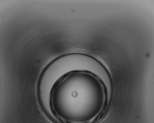 X0000097990581200804011811