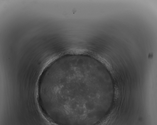 X0000097990582200804011811